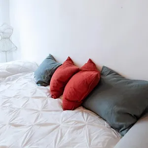  Appartement S Bramante